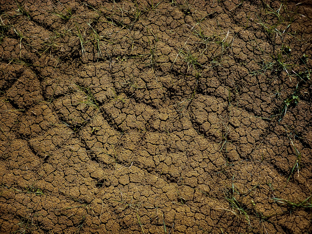 A close-up of cracked dry mineralized soil